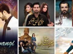 top-5-pakistani-dramas-you-must-watch-in-2020