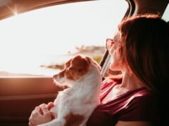 safely-enjoying-a-car-trip