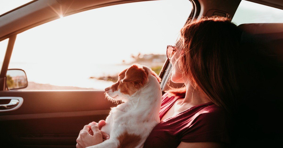 safely-enjoying-a-car-trip