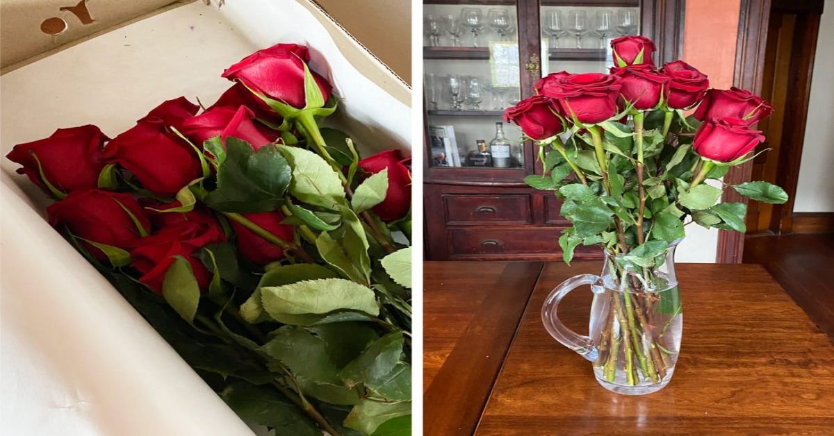 fresh-flowers-online